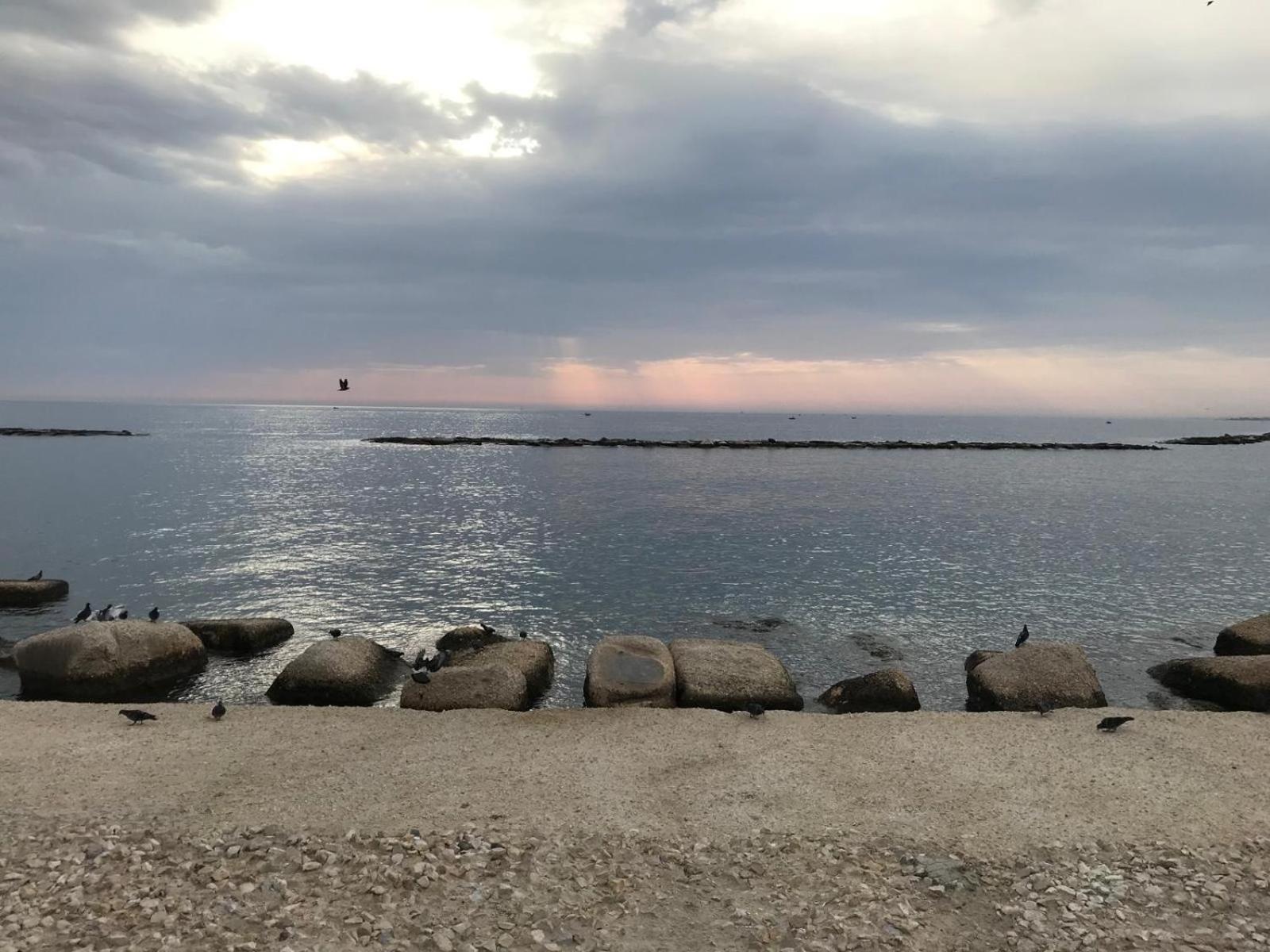La Maison Di Serena Bari Dış mekan fotoğraf